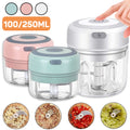 Electric Garlic Chopper main product shot